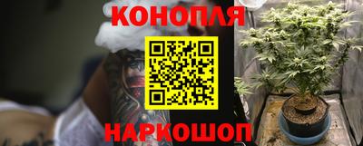 не бодяженный Гатчина