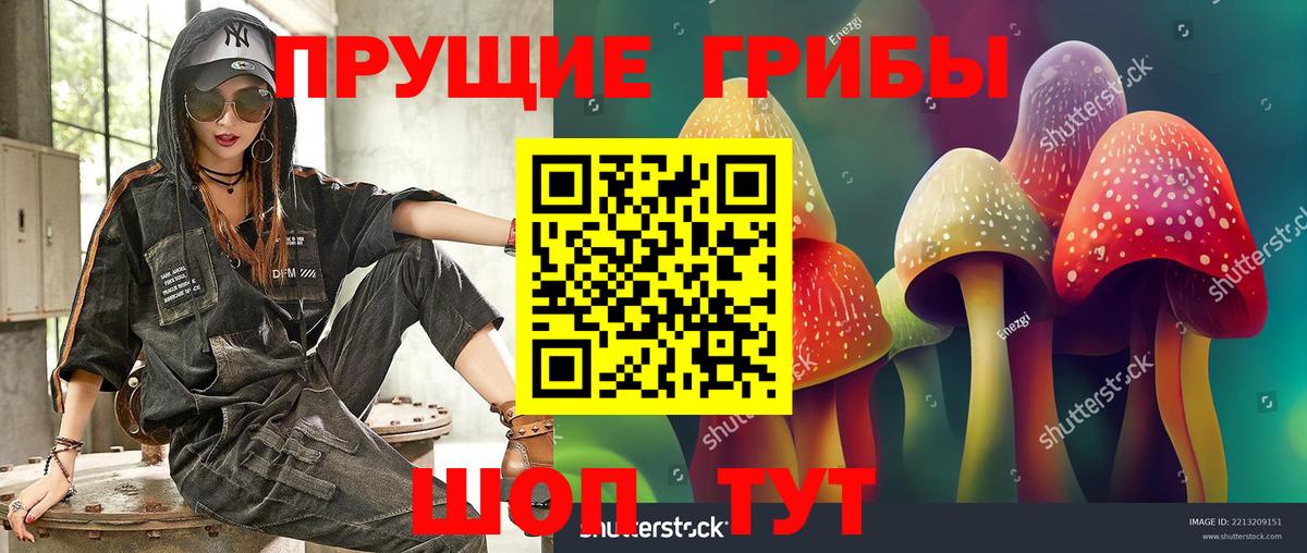 Мичуринск  Псилоцибиновые грибы ЛСД  цена наркотик  Вход с VPN 